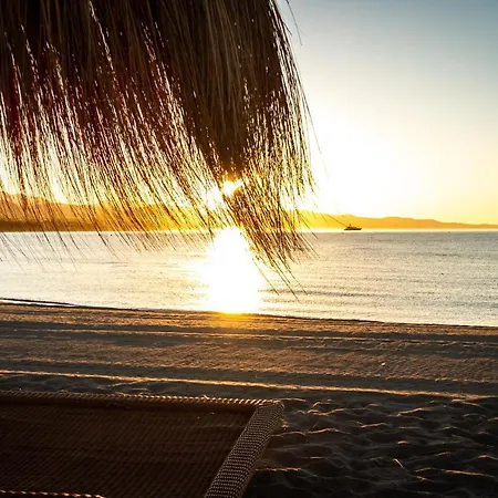 Apartamento Banús Dama De Noche
