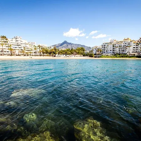 Banus - Banus Dama De Noche Marbella